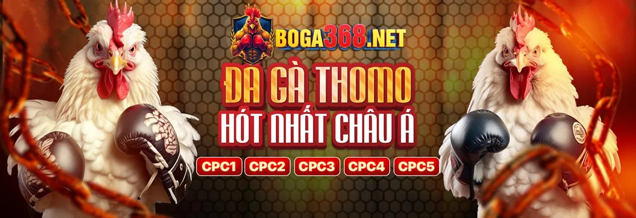 Hoàn trả cược đá gà hàng tuần cobet đăng ký
